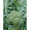 brocoli