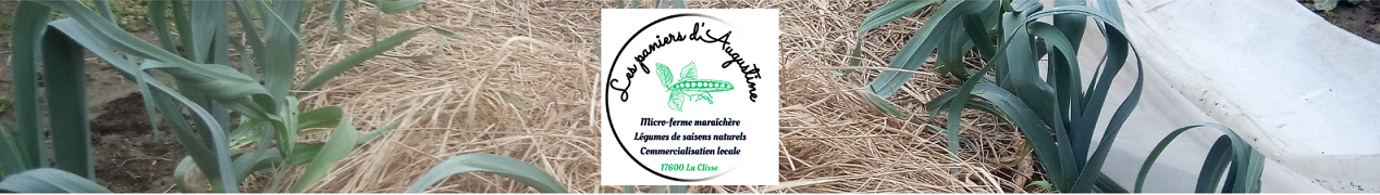 Logo Les paniers d'Augustine